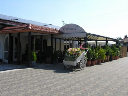 Foto: Ristorante Pizzeria Calimero